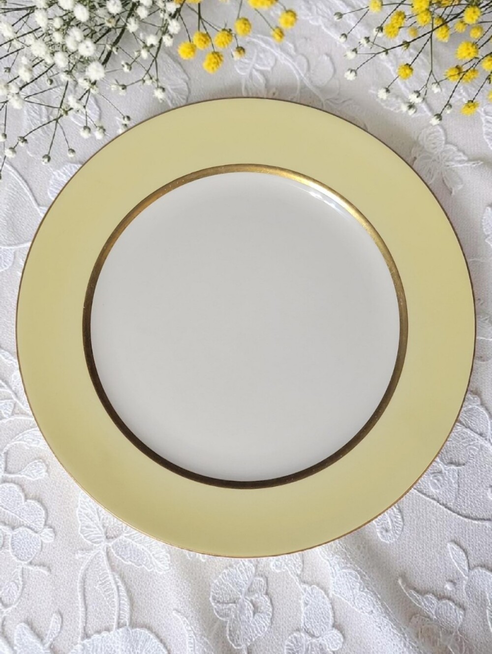 VTG 1940s POPE GOSSER 10 1/8" DINNER PLATE WARRANTED COIN GOLD IVORY #2